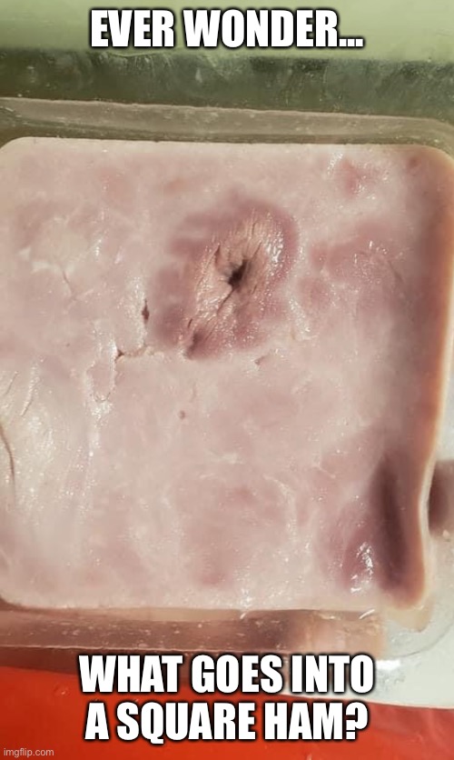 EVER WONDER... WHAT GOES INTO A SQUARE HAM? | image tagged in you don't say | made w/ Imgflip meme maker