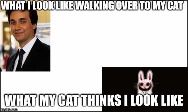 She runs away when I try to pet her | WHAT I LOOK LIKE WALKING OVER TO MY CAT; WHAT MY CAT THINKS I LOOK LIKE | image tagged in horrorbunny | made w/ Imgflip meme maker