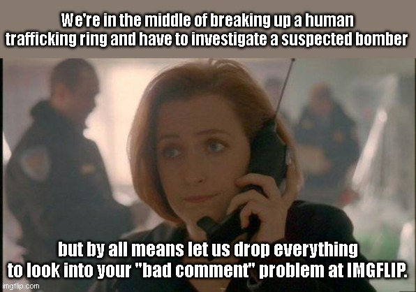 FBI reaction to First World IMGFLIP problem | We're in the middle of breaking up a human trafficking ring and have to investigate a suspected bomber; but by all means let us drop everything to look into your "bad comment" problem at IMGFLIP. | image tagged in dana scully phone call,first world problems,imgflip,whiners,so much drama,imgflip humor | made w/ Imgflip meme maker