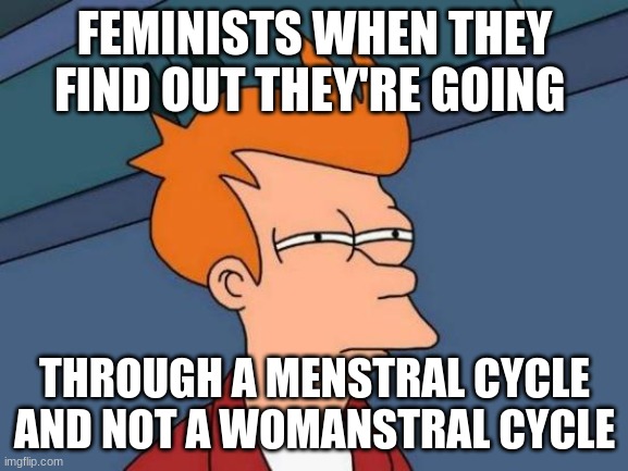 Futurama Fry | FEMINISTS WHEN THEY FIND OUT THEY'RE GOING; THROUGH A MENSTRAL CYCLE AND NOT A WOMANSTRAL CYCLE | image tagged in memes,futurama fry | made w/ Imgflip meme maker