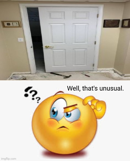 Strange door design | image tagged in well that's unusual,door,you had one job,memes,design fails,doors | made w/ Imgflip meme maker