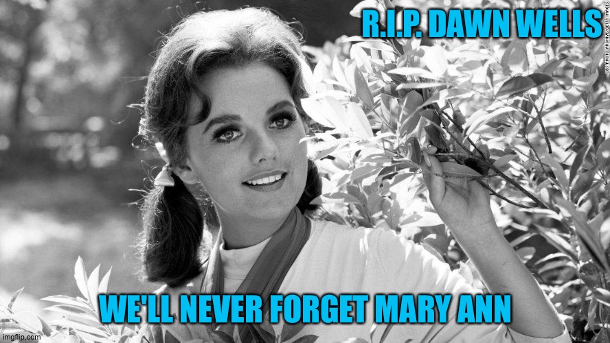 Our favorite castaway | R.I.P. DAWN WELLS; WE'LL NEVER FORGET MARY ANN | image tagged in dawn wells | made w/ Imgflip meme maker