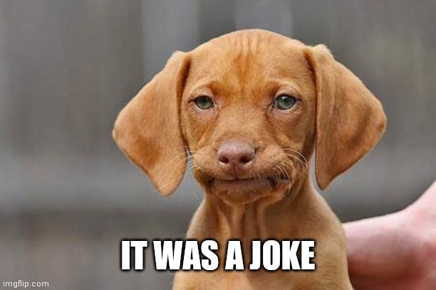 Dissapointed puppy | IT WAS A JOKE | image tagged in dissapointed puppy | made w/ Imgflip meme maker