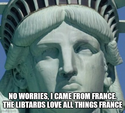statue of liberty | NO WORRIES, I CAME FROM FRANCE. THE LIBTARDS LOVE ALL THINGS FRANCE | image tagged in statue of liberty | made w/ Imgflip meme maker