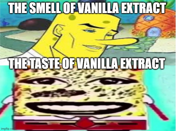 true tho | THE SMELL OF VANILLA EXTRACT; THE TASTE OF VANILLA EXTRACT | image tagged in good lookin sponge bob,meme | made w/ Imgflip meme maker