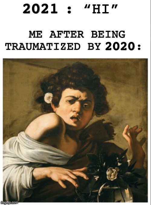 Happy New Year (I guess?) | 2021; 2020 | image tagged in happy new year,2021,2020 sucks | made w/ Imgflip meme maker