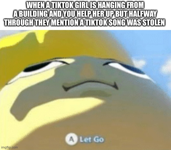 Let go link (second panel only) | WHEN A TIKTOK GIRL IS HANGING FROM A BUILDING AND YOU HELP HER UP BUT HALFWAY THROUGH THEY MENTION A TIKTOK SONG WAS STOLEN | image tagged in let go link second panel only | made w/ Imgflip meme maker