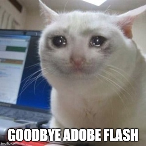 I'm sad | GOODBYE ADOBE FLASH | image tagged in crying cat | made w/ Imgflip meme maker