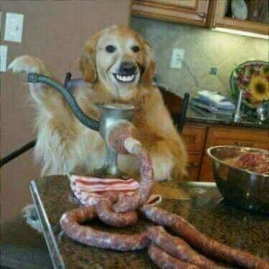 Dog making Sausage Blank Meme Template