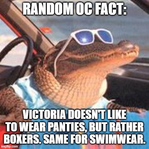 Cool Gator | RANDOM OC FACT:; VICTORIA DOESN'T LIKE TO WEAR PANTIES, BUT RATHER BOXERS. SAME FOR SWIMWEAR. | image tagged in cool gator,oc | made w/ Imgflip meme maker