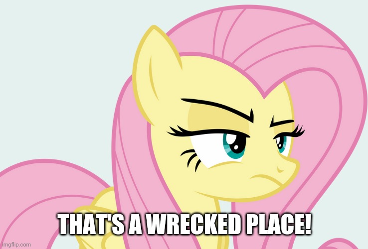 Pissed-off Fluttershy (MLP) | THAT'S A WRECKED PLACE! | image tagged in pissed-off fluttershy mlp | made w/ Imgflip meme maker