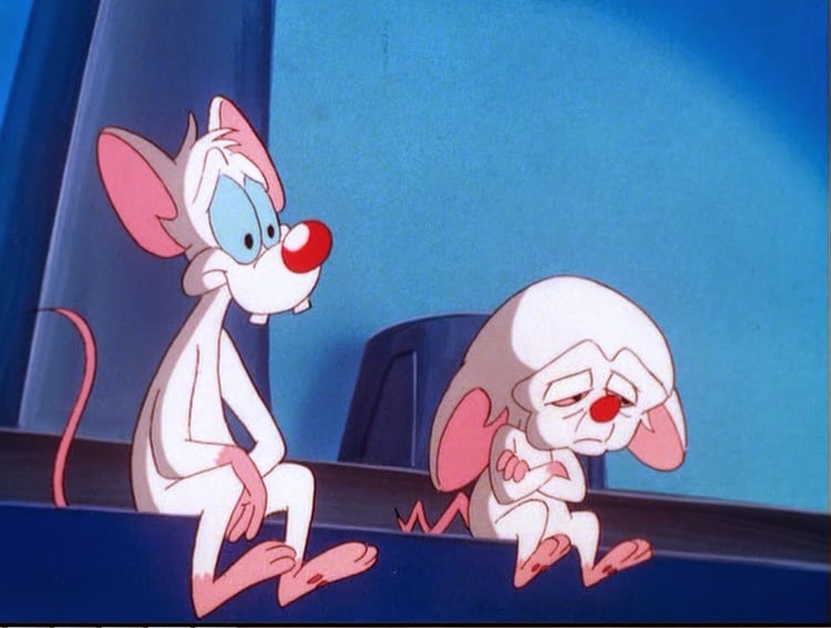 pinky and the brain Blank Meme Template