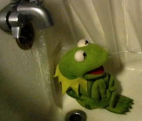Kermit in Shower meme Blank Meme Template