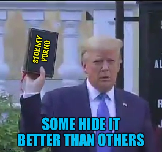 Trump bible | STORMY
PORNO SOME HIDE IT BETTER THAN OTHERS | image tagged in trump bible | made w/ Imgflip meme maker