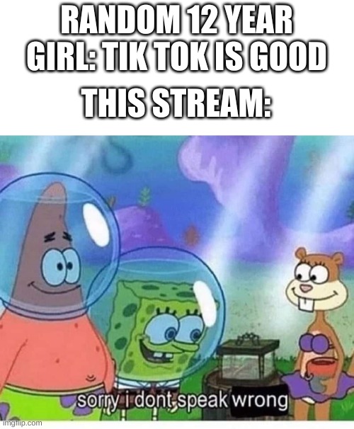 sorry i dont speak wrong | RANDOM 12 YEAR GIRL: TIK TOK IS GOOD; THIS STREAM: | image tagged in sorry i dont speak wrong | made w/ Imgflip meme maker