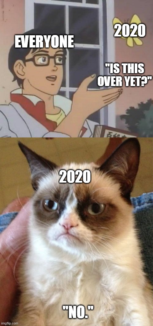2020; EVERYONE; "IS THIS OVER YET?"; 2020; "NO." | image tagged in memes,is this a pigeon,grumpy cat | made w/ Imgflip meme maker
