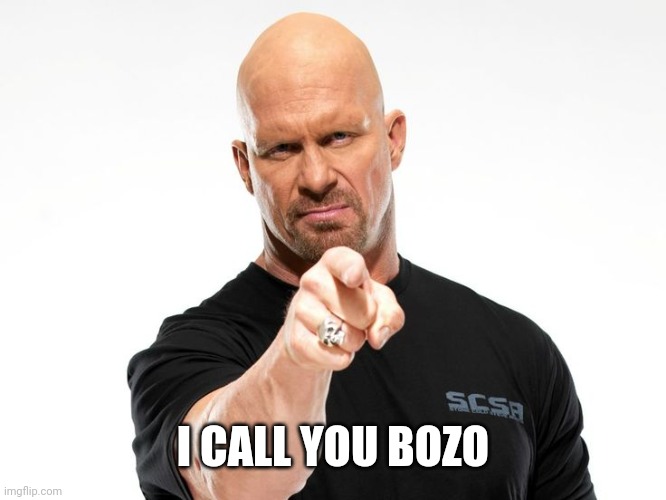Bald tough guy pointing at you | I CALL YOU BOZO | image tagged in bald tough guy pointing at you | made w/ Imgflip meme maker