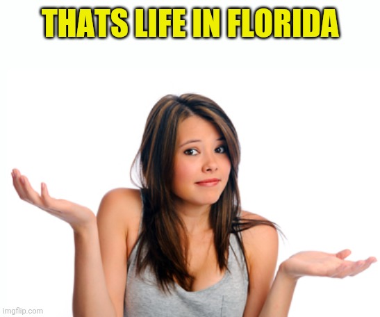 Shrug girl | THATS LIFE IN FLORIDA | image tagged in shrug girl | made w/ Imgflip meme maker