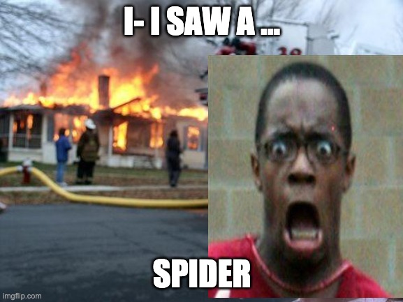 I- I SAW A ... SPIDER | image tagged in spider | made w/ Imgflip meme maker