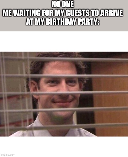 Jim Office Blinds | NO ONE
ME WAITING FOR MY GUESTS TO ARRIVE AT MY BIRTHDAY PARTY: | image tagged in jim office blinds | made w/ Imgflip meme maker