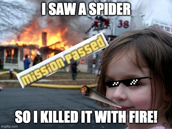 THIS IS A MESSAGE TO ALL SPIDERS | I SAW A SPIDER; SO I KILLED IT WITH FIRE! | image tagged in memes,disaster girl | made w/ Imgflip meme maker
