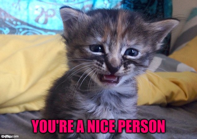YOU'RE A NICE PERSON | made w/ Imgflip meme maker