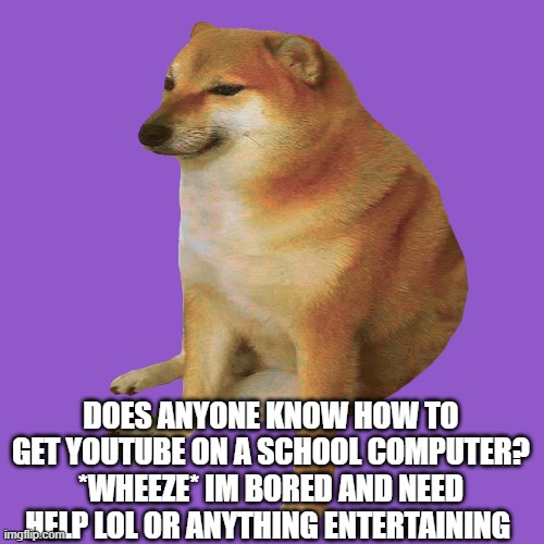 please need help lmfao is bored | DOES ANYONE KNOW HOW TO GET YOUTUBE ON A SCHOOL COMPUTER?
*WHEEZE* IM BORED AND NEED HELP LOL OR ANYTHING ENTERTAINING | image tagged in cheems | made w/ Imgflip meme maker