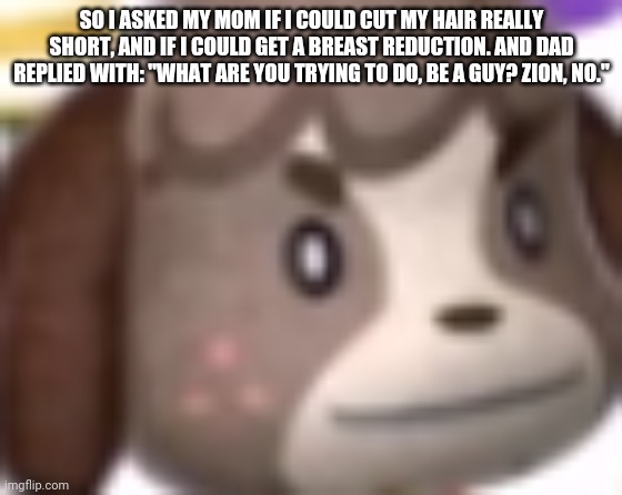 I swear my dad is really homophobic | SO I ASKED MY MOM IF I COULD CUT MY HAIR REALLY SHORT, AND IF I COULD GET A BREAST REDUCTION. AND DAD REPLIED WITH: "WHAT ARE YOU TRYING TO DO, BE A GUY? ZION, NO." | image tagged in digby wtf | made w/ Imgflip meme maker