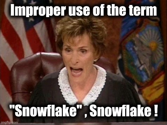 Judge Judy | Improper use of the term "Snowflake" , Snowflake ! | image tagged in judge judy | made w/ Imgflip meme maker
