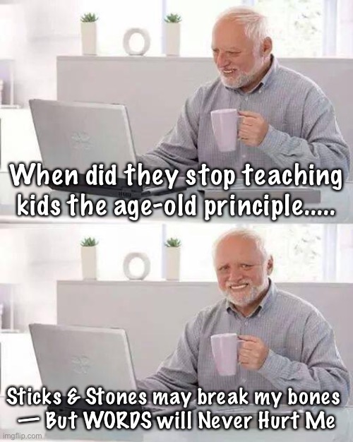 Hide the Pain Harold Meme | When did they stop teaching kids the age-old principle..... Sticks & Stones may break my bones 
— But WORDS will Never Hurt Me | image tagged in memes,hide the pain harold | made w/ Imgflip meme maker
