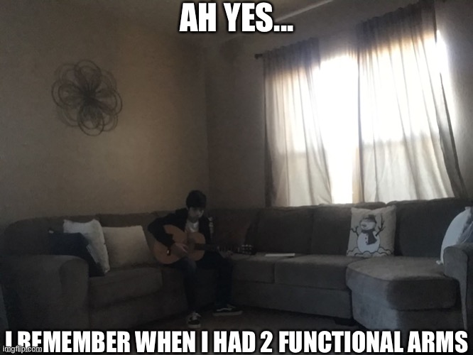 Rip shoulder ;-; | AH YES... I REMEMBER WHEN I HAD 2 FUNCTIONAL ARMS | made w/ Imgflip meme maker