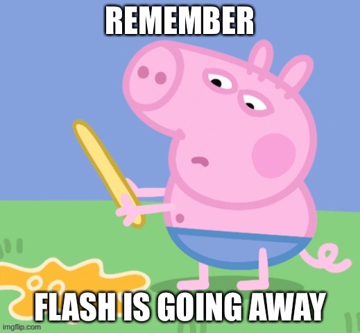Yes, I know Flashpoint exists, ok? | REMEMBER; FLASH IS GOING AWAY | made w/ Imgflip meme maker