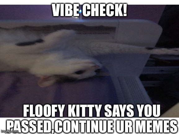 Have a good day | VIBE CHECK! FLOOFY KITTY SAYS YOU PASSED,CONTINUE UR MEMES | image tagged in cats,vibe check,good job | made w/ Imgflip meme maker