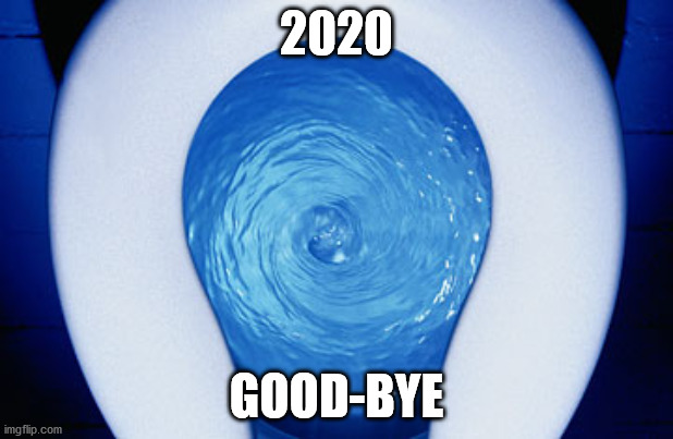 The Weakest Link | 2020; GOOD-BYE | image tagged in toilet flushing | made w/ Imgflip meme maker