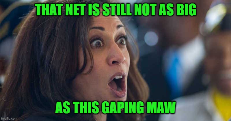 kamala harriss | THAT NET IS STILL NOT AS BIG AS THIS GAPING MAW | image tagged in kamala harriss | made w/ Imgflip meme maker
