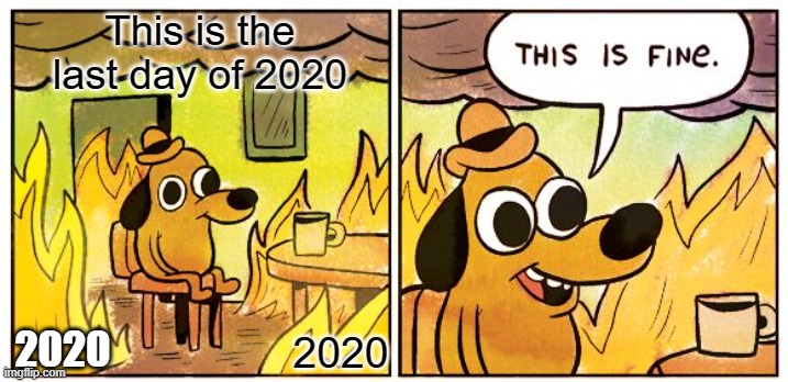 This Is Fine Meme | This is the last day of 2020; 2020; 2020 | image tagged in this is fine,2020 sucks,happy new year,coronavirus,adios | made w/ Imgflip meme maker