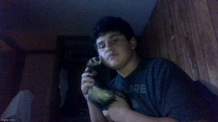 kisses from the ferret :3 | made w/ Imgflip meme maker
