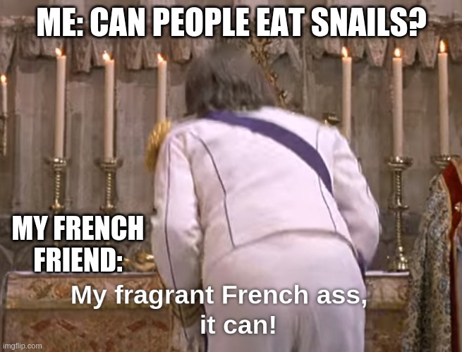 My chat with my french friend | ME: CAN PEOPLE EAT SNAILS? MY FRENCH FRIEND: | image tagged in memes,johnny english,mrsupermazing | made w/ Imgflip meme maker