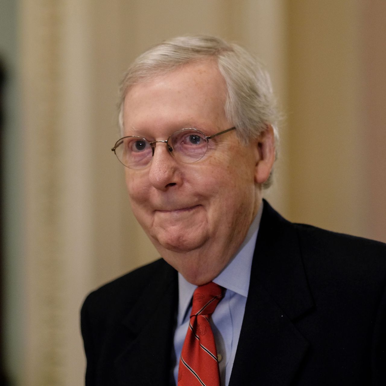 High Quality Turtle Mitch Blank Meme Template
