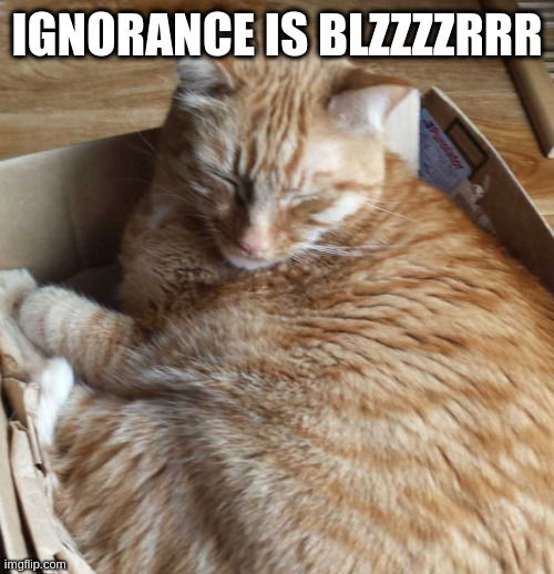 sleeping r***** | IGNORANCE IS BLZZZZRRR | image tagged in sleeping r | made w/ Imgflip meme maker