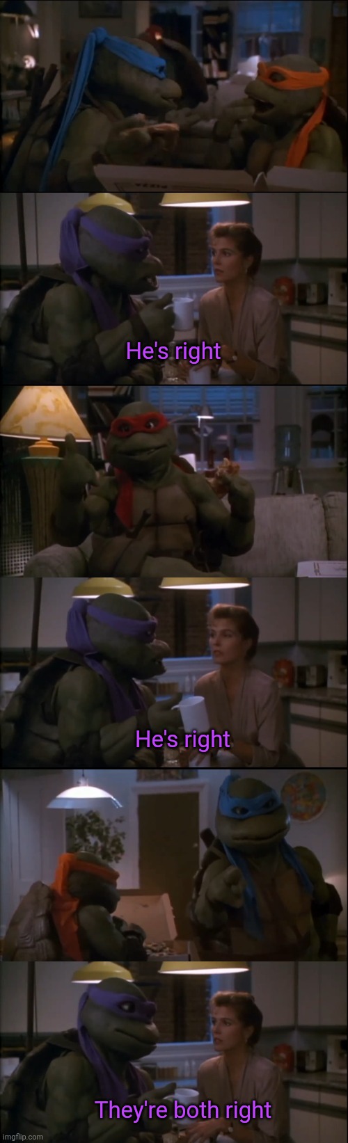 Tmnt they're both right | He's right; He's right; They're both right | image tagged in they're both right,tmnt,ninja turtles,argument,he's right | made w/ Imgflip meme maker