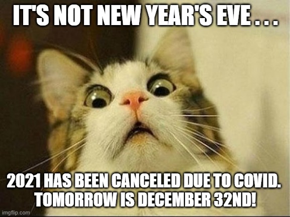 New Years 2020 | IT'S NOT NEW YEAR'S EVE . . . 2021 HAS BEEN CANCELED DUE TO COVID. 
TOMORROW IS DECEMBER 32ND! | image tagged in new years 2020 | made w/ Imgflip meme maker