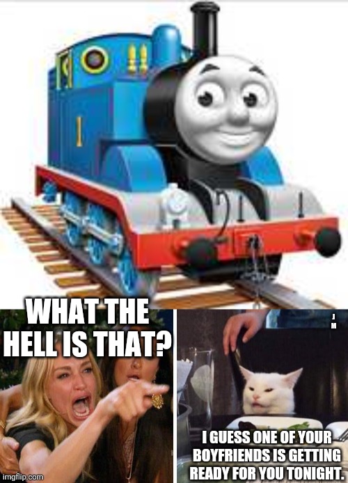 J M; WHAT THE HELL IS THAT? I GUESS ONE OF YOUR BOYFRIENDS IS GETTING READY FOR YOU TONIGHT. | image tagged in smudge the cat | made w/ Imgflip meme maker