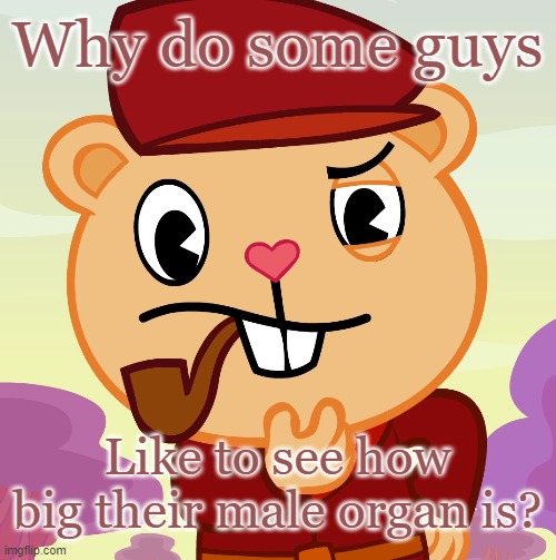 it's just stupid | Why do some guys; Like to see how big their male organ is? | image tagged in pop htf | made w/ Imgflip meme maker