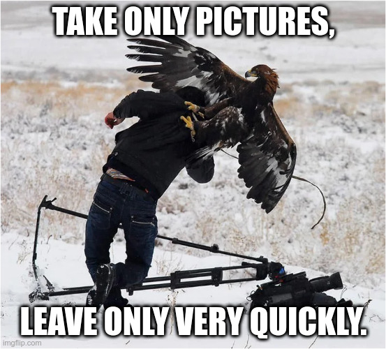 Take Only Pictures | TAKE ONLY PICTURES, LEAVE ONLY VERY QUICKLY. | image tagged in photography,photobomb,leave,fast,funny meme | made w/ Imgflip meme maker