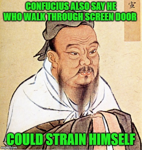 wise confusius | CONFUCIUS ALSO SAY HE WHO WALK THROUGH SCREEN DOOR COULD STRAIN HIMSELF | image tagged in wise confusius | made w/ Imgflip meme maker