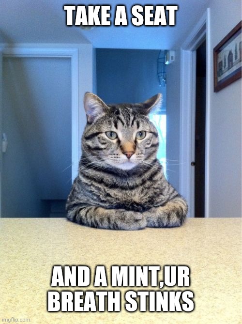 Take A Seat Cat | TAKE A SEAT; AND A MINT,UR BREATH STINKS | image tagged in memes,take a seat cat | made w/ Imgflip meme maker