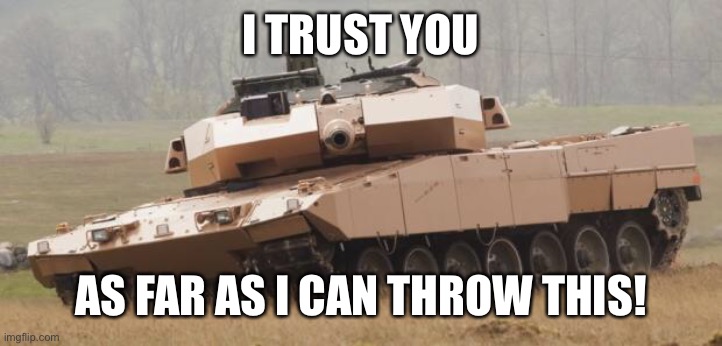 Trust | I TRUST YOU; AS FAR AS I CAN THROW THIS! | image tagged in trust | made w/ Imgflip meme maker