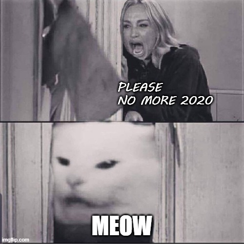 no more 2020 | PLEASE 
NO MORE 2020; MEOW | image tagged in woman yells are shining | made w/ Imgflip meme maker