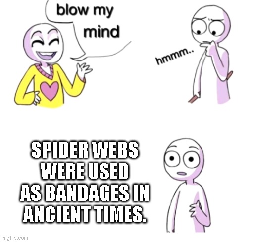 Bandages of Old | SPIDER WEBS WERE USED AS BANDAGES IN ANCIENT TIMES. | image tagged in blow my mind | made w/ Imgflip meme maker